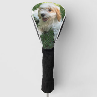 Funda Para Palo De Golf Foto personalizada de Cavachon, perro