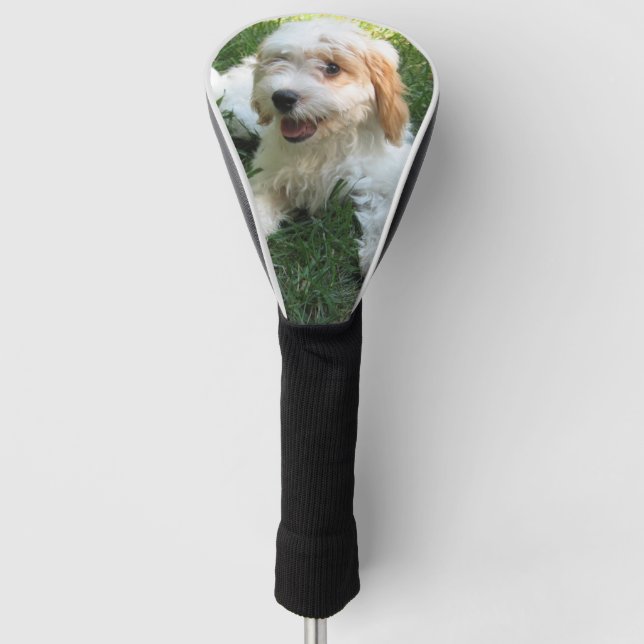 Funda Para Palo De Golf Foto personalizada de Cavachon, perro (Anverso)