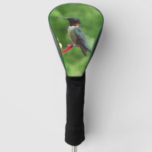 Funda Para Palo De Golf Fotografía de aves de colibrí de garganta rubí