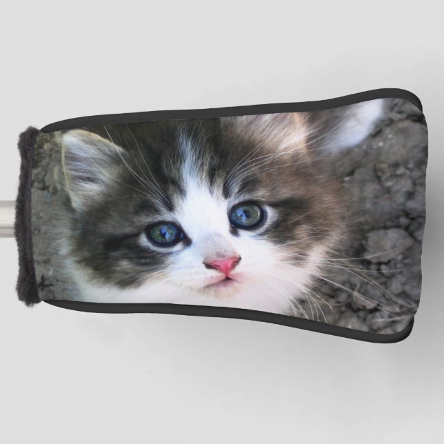 Funda Para Palo De Golf Fotografía de gato gatito súper lindo (Anverso)
