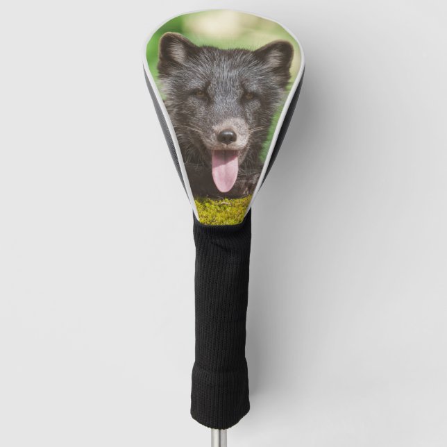 Funda Para Palo De Golf Fox del Ártico (Anverso)