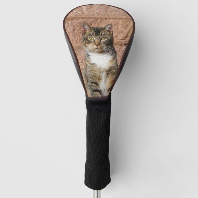 Funda Para Palo De Golf Gato de iglesia (Anverso)