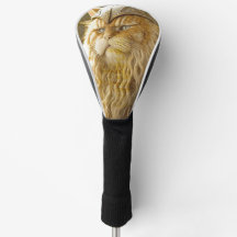Gato Viejo Viking.