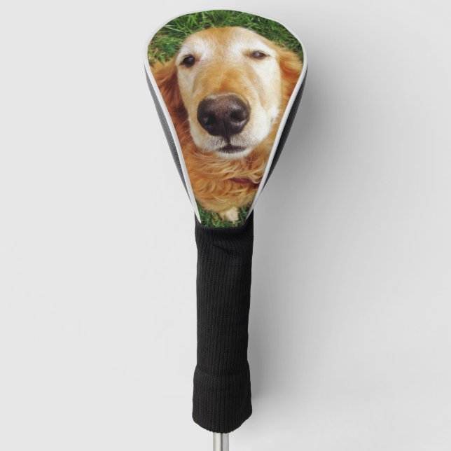 Funda Para Palo De Golf Golden Retriever (Anverso)