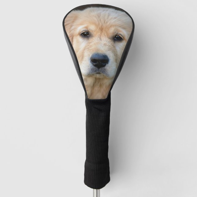 Funda Para Palo De Golf Golden Retriever Puppy (Anverso)
