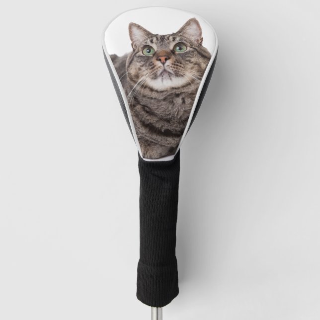 Funda Para Palo De Golf Gray Tabby Cat (Anverso)