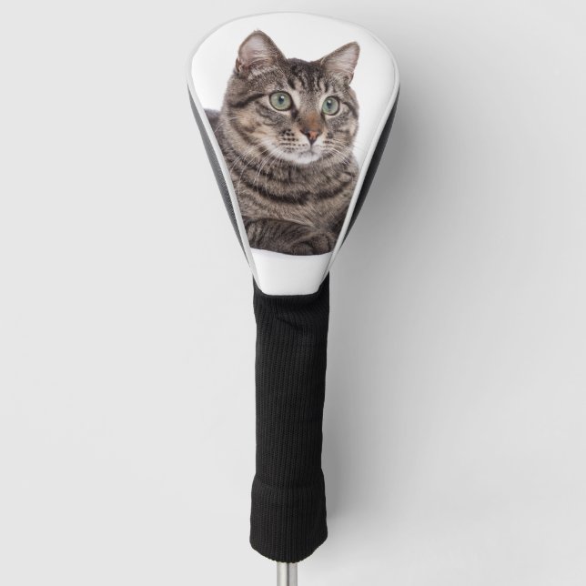 Funda Para Palo De Golf Gray Tabby Cat (Anverso)