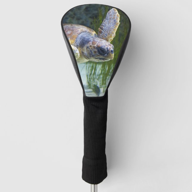 Funda Para Palo De Golf Hermosa Tortuga Marítima Nadando (Anverso)