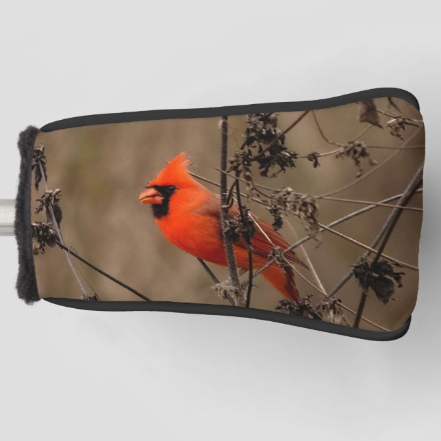 Funda Para Palo De Golf Hermoso cardenal norte (Anverso)