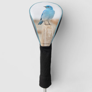 Funda Para Palo De Golf Hermoso pájaro azul de montaña en un Stump