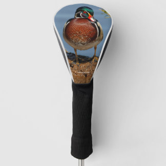 Funda Para Palo De Golf Hermoso Pato Pensivo de Madera en el pantano