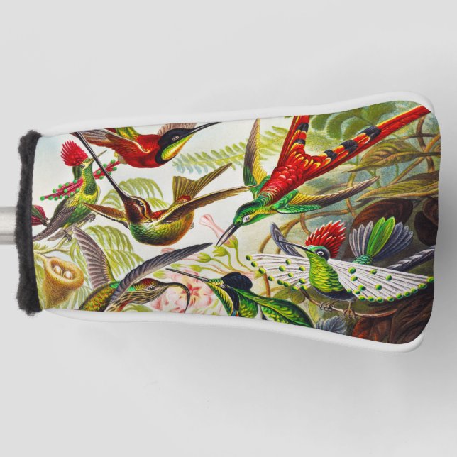 Funda Para Palo De Golf Hummingbirds por Ernst Haeckel (Anverso)