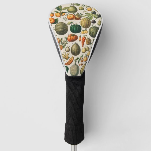 Funda Para Palo De Golf Ilustracion científico botánico de frutas (Anverso)