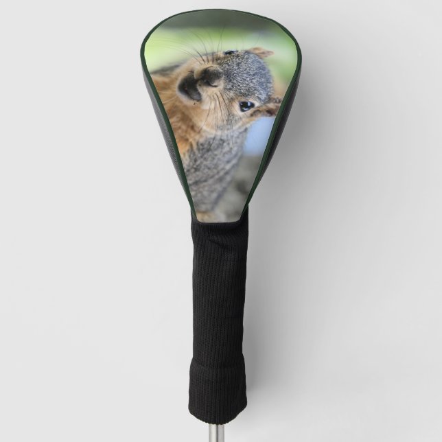 Funda Para Palo De Golf Imán de ardilla (Anverso)
