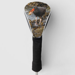 Funda Para Palo De Golf Impresionante Oystercatcher negro con almeja