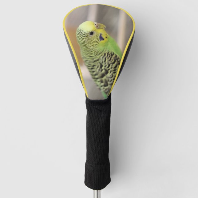 Funda Para Palo De Golf Kiwi (Anverso)