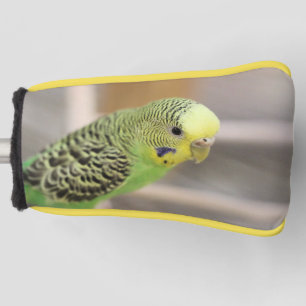 Funda Para Palo De Golf Kiwi
