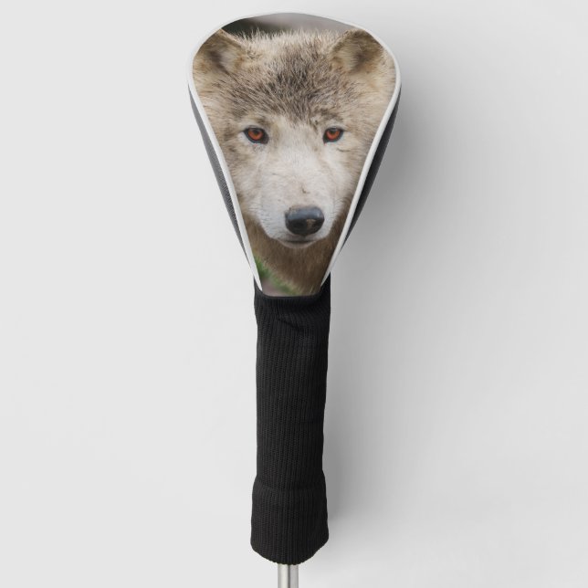 Funda Para Palo De Golf Lobo blanco fangoso (Anverso)