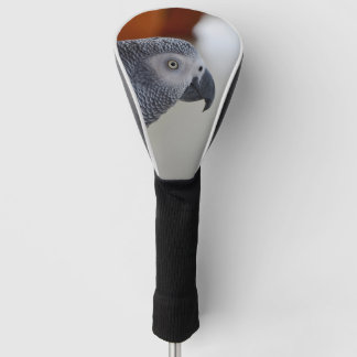 Funda Para Palo De Golf Loro majestuoso del gris africano
