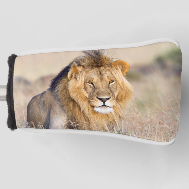 Funda Para Palo De Golf Majestic lion animal salvaje foto (Anverso)