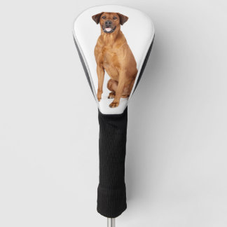 Funda Para Palo De Golf Mascota personalizado Foto de perro Rhodesian Ridg