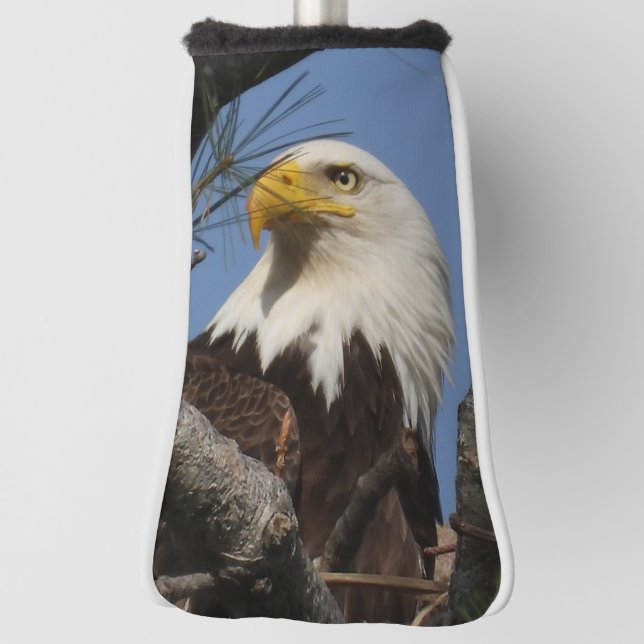 Funda Para Palo De Golf Mature Bald Eagle Close Head (Girar 90)