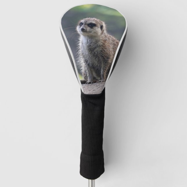 Funda Para Palo De Golf Meerkat_2019001 (Anverso)