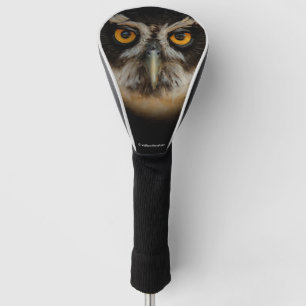 Funda Para Palo De Golf Mesmerizando los ojos dorados de una lechuza espec