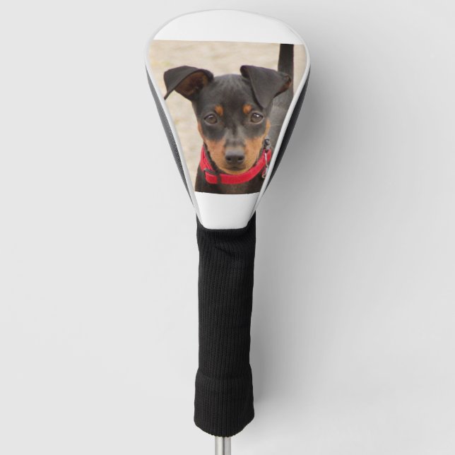 Funda Para Palo De Golf mini-pinscher-negro y óxido (Anverso)