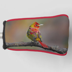 Funda Para Palo De Golf Moldura de Tanager de escarlata - Fotografía origi
