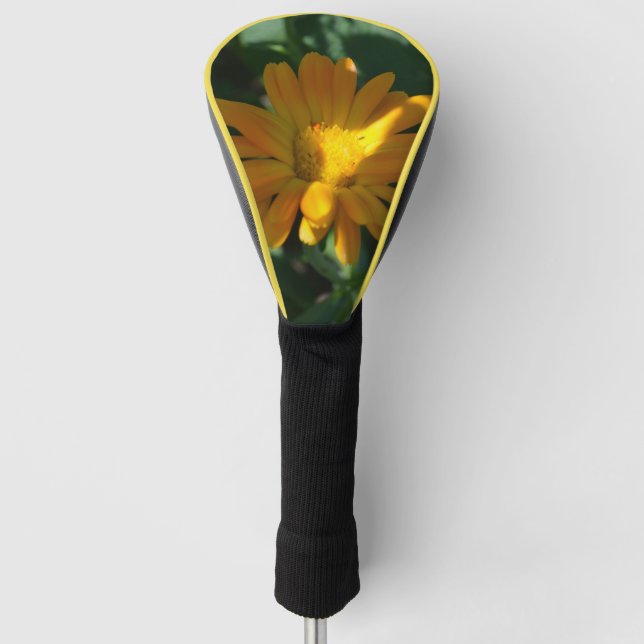 Funda Para Palo De Golf Naranja Pot Marigold Flor (Calendula officinalis) (Anverso)