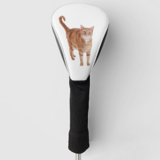 Funda Para Palo De Golf Naranja Tabby Cat
