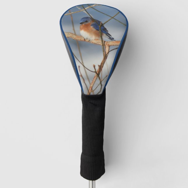 Funda Para Palo De Golf Naturaleza de Winter Bluebird (Anverso)