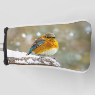 Funda Para Palo De Golf Pájaro azul oriental en nieve - Fotografía origina