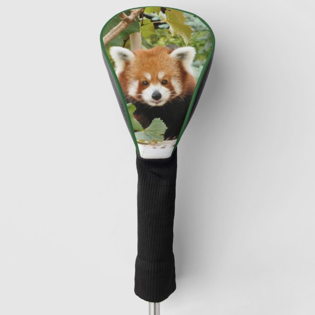 Funda Para Palo De Golf Panda rojo (Anverso)