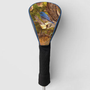 Funda Para Palo De Golf Parque nacional de Arches