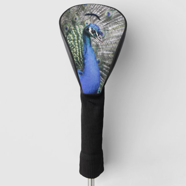 Funda Para Palo De Golf pavo real 215 A (Anverso)