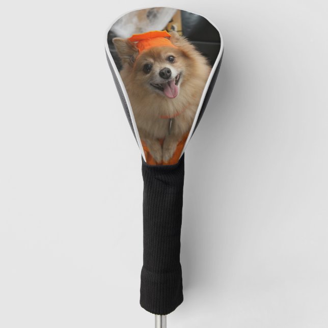 Funda Para Palo De Golf Perrito astuto sonriente de Pomeranian en la (Anverso)