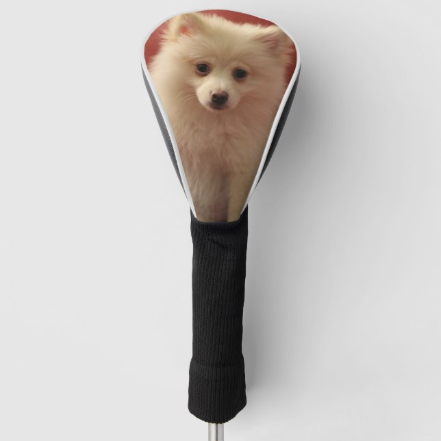 Funda Para Palo De Golf Perro de Cute Pomerania (Anverso)