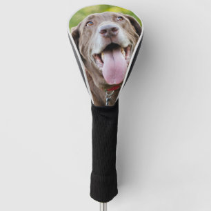 Funda Para Palo De Golf Perro del laboratorio del chocolate