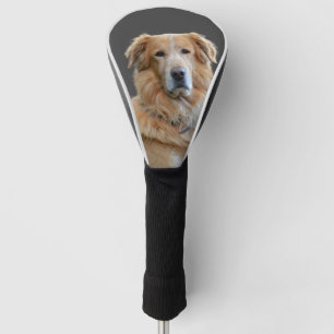 Funda Para Palo De Golf Perro Golden Tetriever Aislado