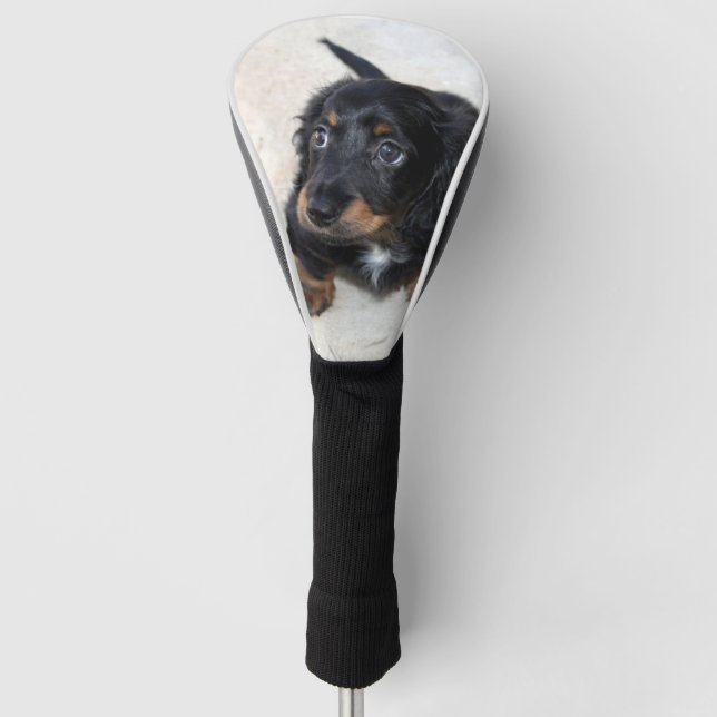 Funda Para Palo De Golf Perro porcino de Dachshund negro (Anverso)