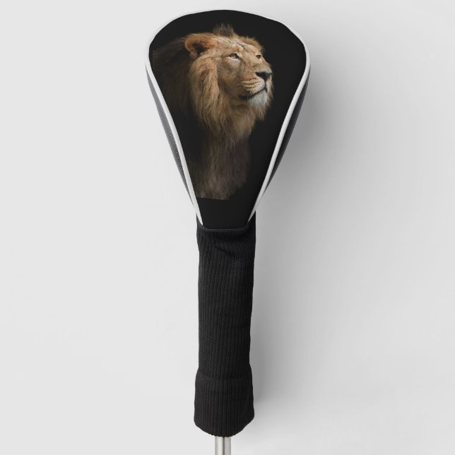 Funda Para Palo De Golf Poderoso retrato de león con fondo oscuro (Anverso)