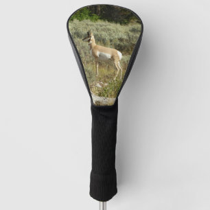 Funda Para Palo De Golf Pronghorn en el Parque Nacional de Grand Teton