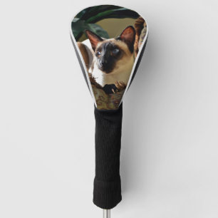 Funda Para Palo De Golf Punto de foco: gato siamés sobre almohada mullida