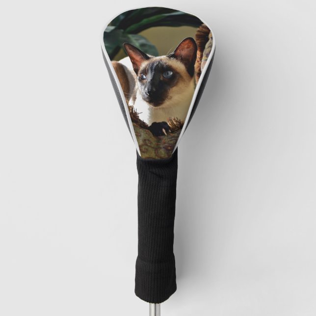 Funda Para Palo De Golf Punto de foco: gato siamés sobre almohada mullida (Anverso)