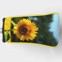 Putter de girasol