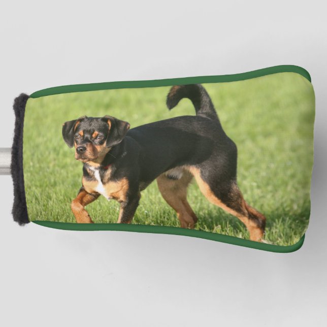 Funda Para Palo De Golf Rascal (Anverso)