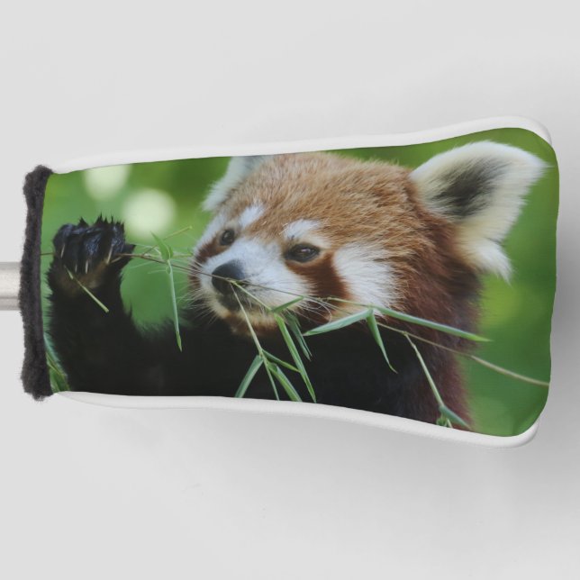 Funda Para Palo De Golf RedPanda 002 (Anverso)