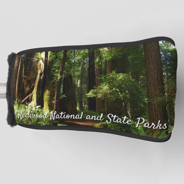 Funda Para Palo De Golf Redwoods and Ferns at Redwood National Park (Anverso)